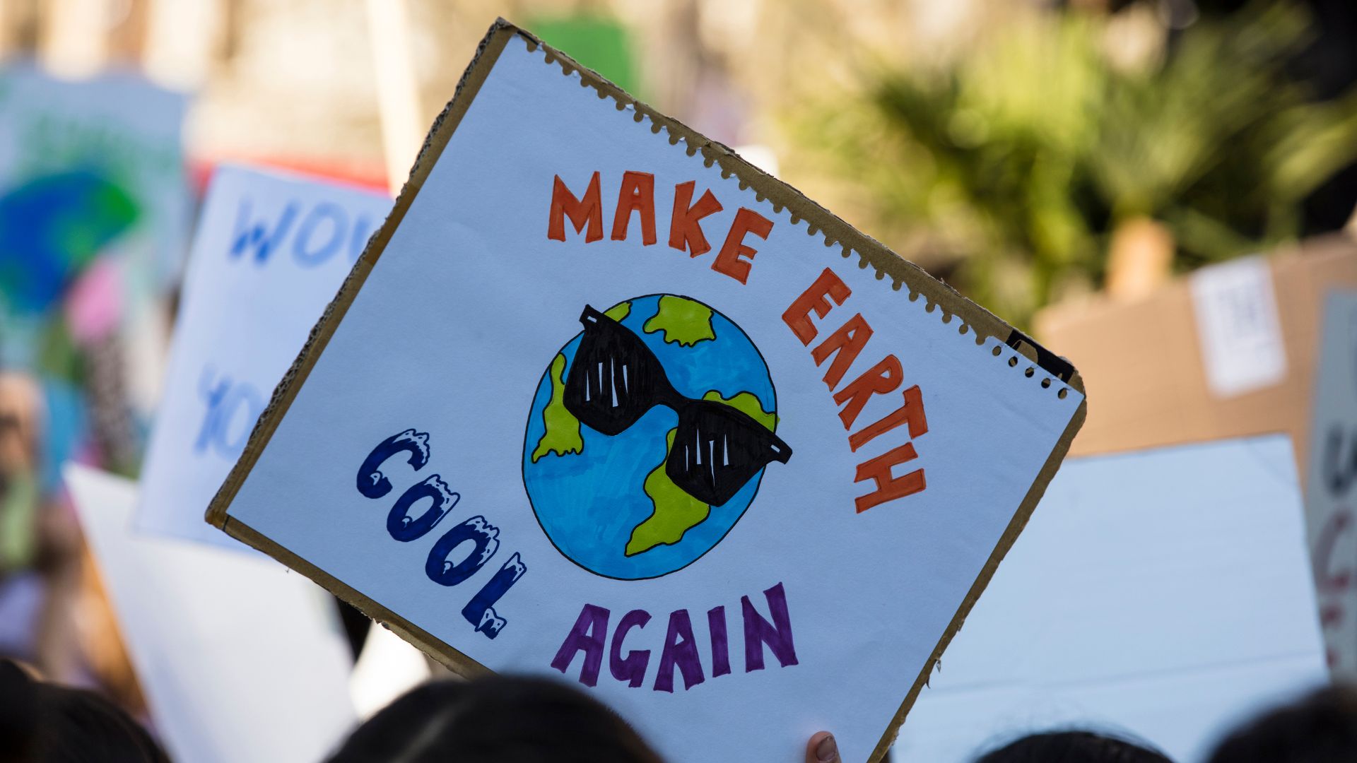 Harnessing Social Media Marketing for Climate Activism and Environmental Advocacy