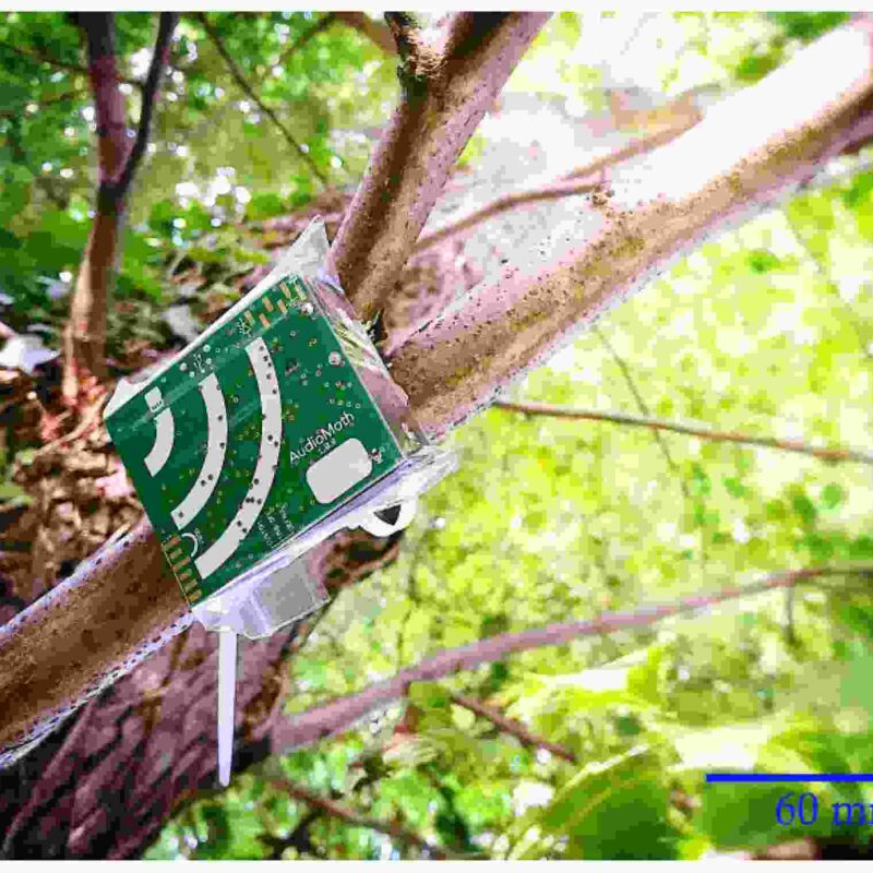 AndPurpose Grants - Wildlife Acoustics