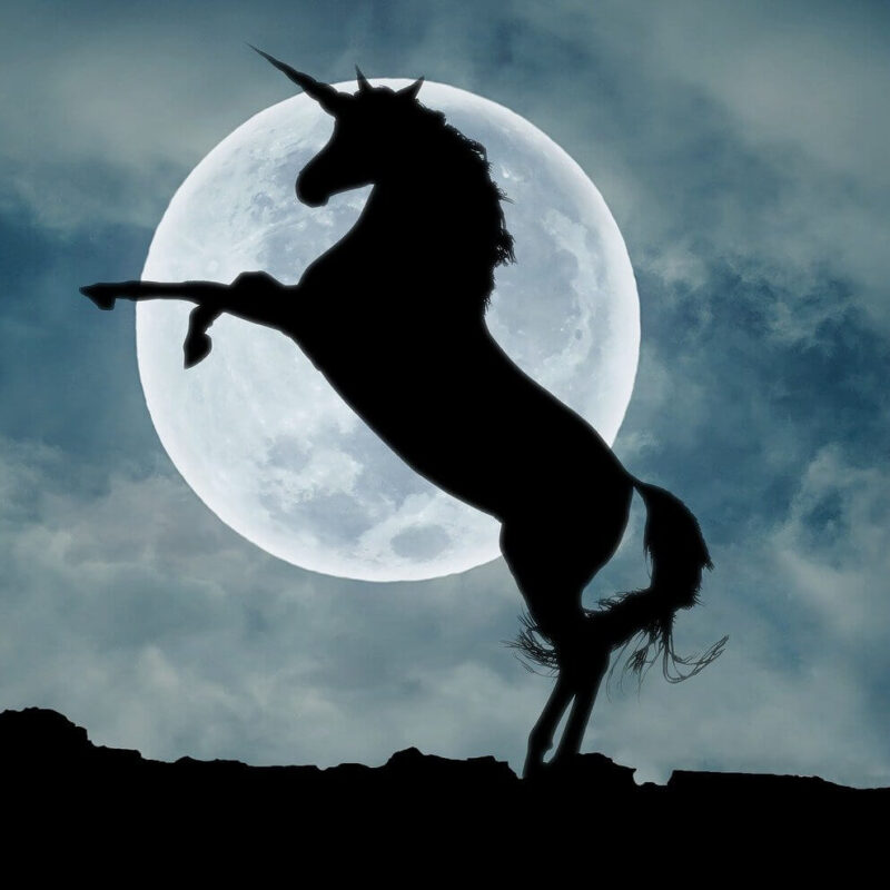 Andpurpose Grants - UNICEF