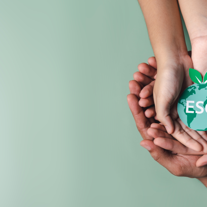 esg communications esg strategies esg marketing