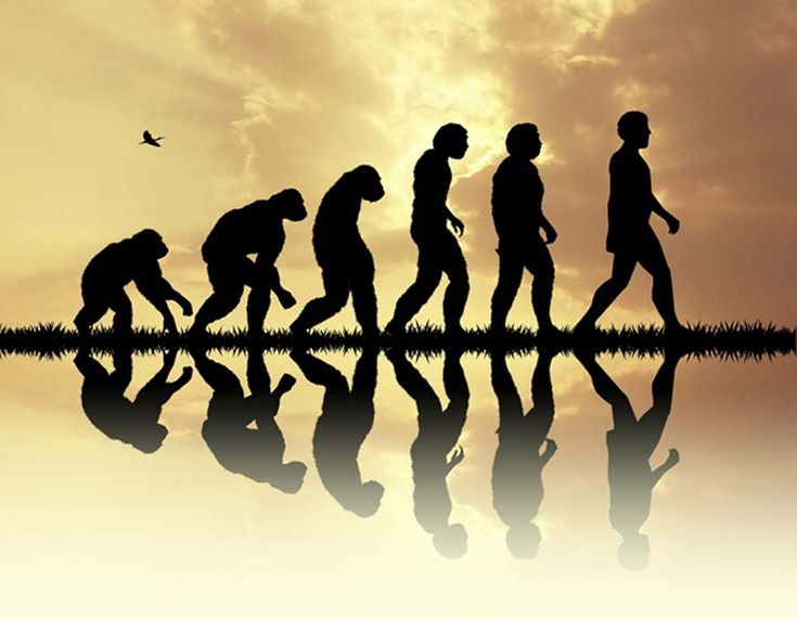 Leakey Foundation Grants for Human Evolution Research