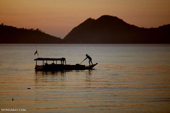 Science and Research Fund: Advancing Fishery Science