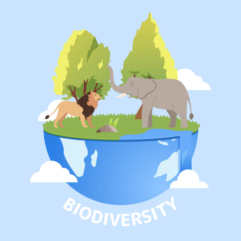Illustration of a lion and elephant on a globe, representing biodiversity and the balance of ecosystems with nature.