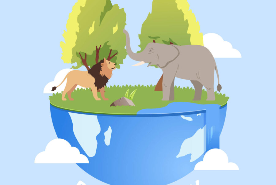 Illustration of a lion and elephant on a globe, representing biodiversity and the balance of ecosystems with nature.