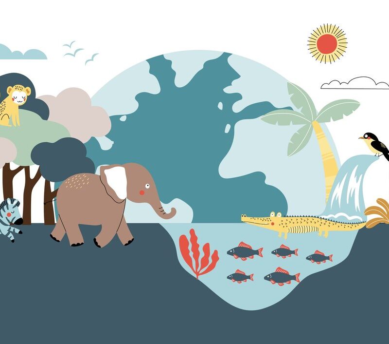 Illustration of diverse wildlife around the globe, including a zebra, elephant, crocodile, birds, and fish, representing species conservation.