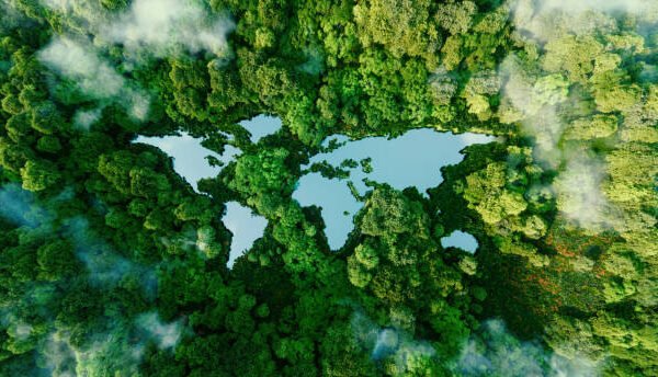 Aerial view of dense green forest forming the shape of a world map, symbolizing global sustainability and environmental initiatives.