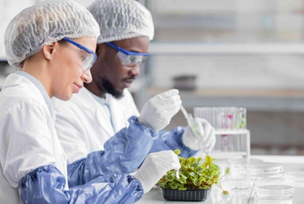 side-view-researchers-biotechnology-laboratory-with-plant