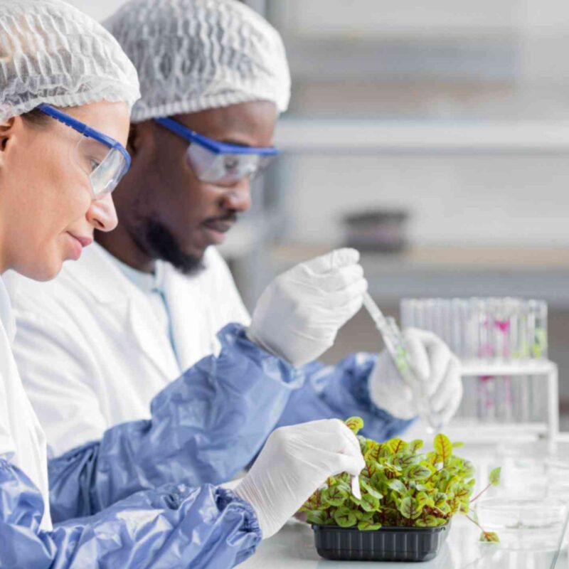 side-view-researchers-biotechnology-laboratory-with-plant