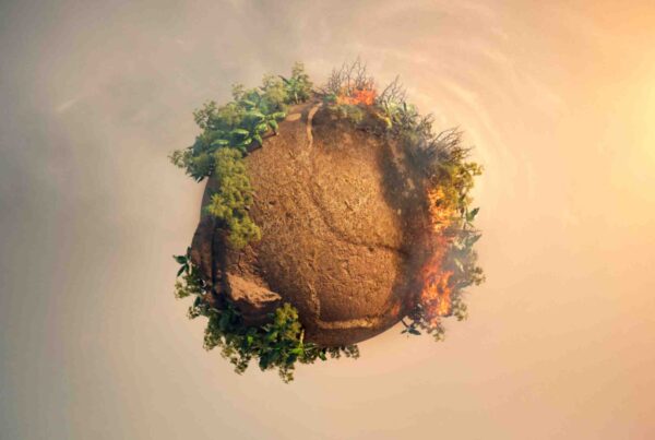 A visual representation of Earth showing areas affected by desertification alongside thriving biodiversity, highlighting the importance of climate change action supported by the Climate Change Fund.