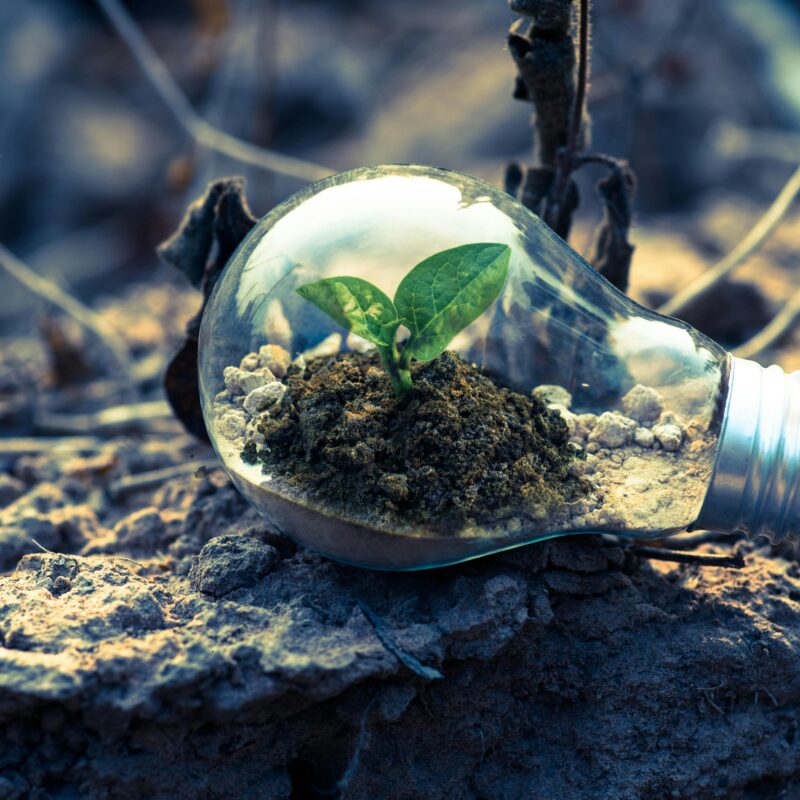 environment sustainibility biodiversity
