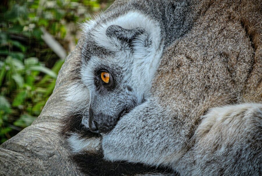 agricultural grants climate