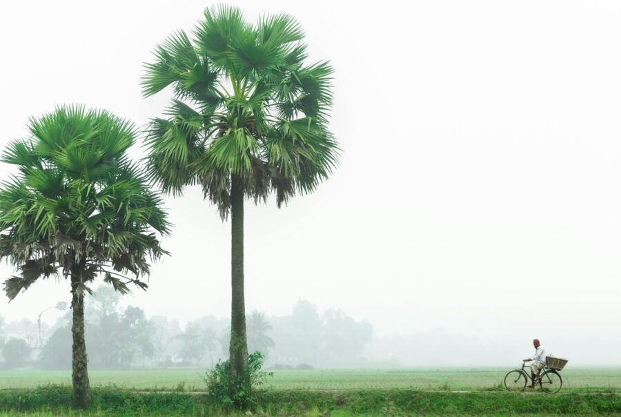 sustainibility grants green grants