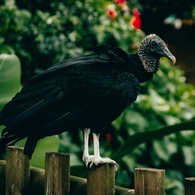 grants sustainibility