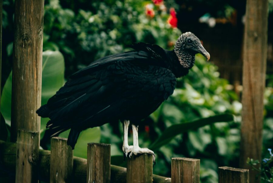 grants sustainibility