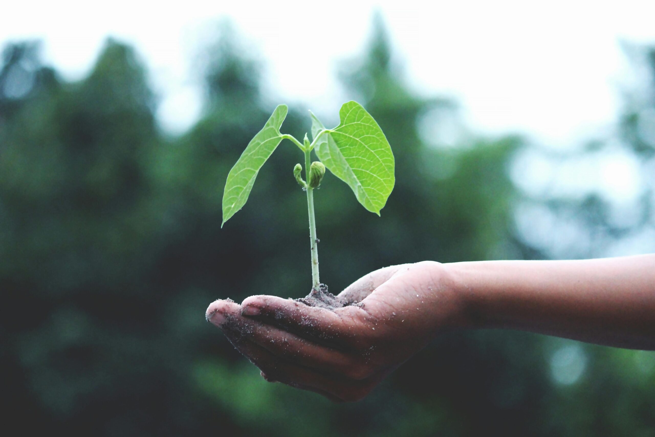 Impact Orbit-Tech-enabled Social Innovations Program