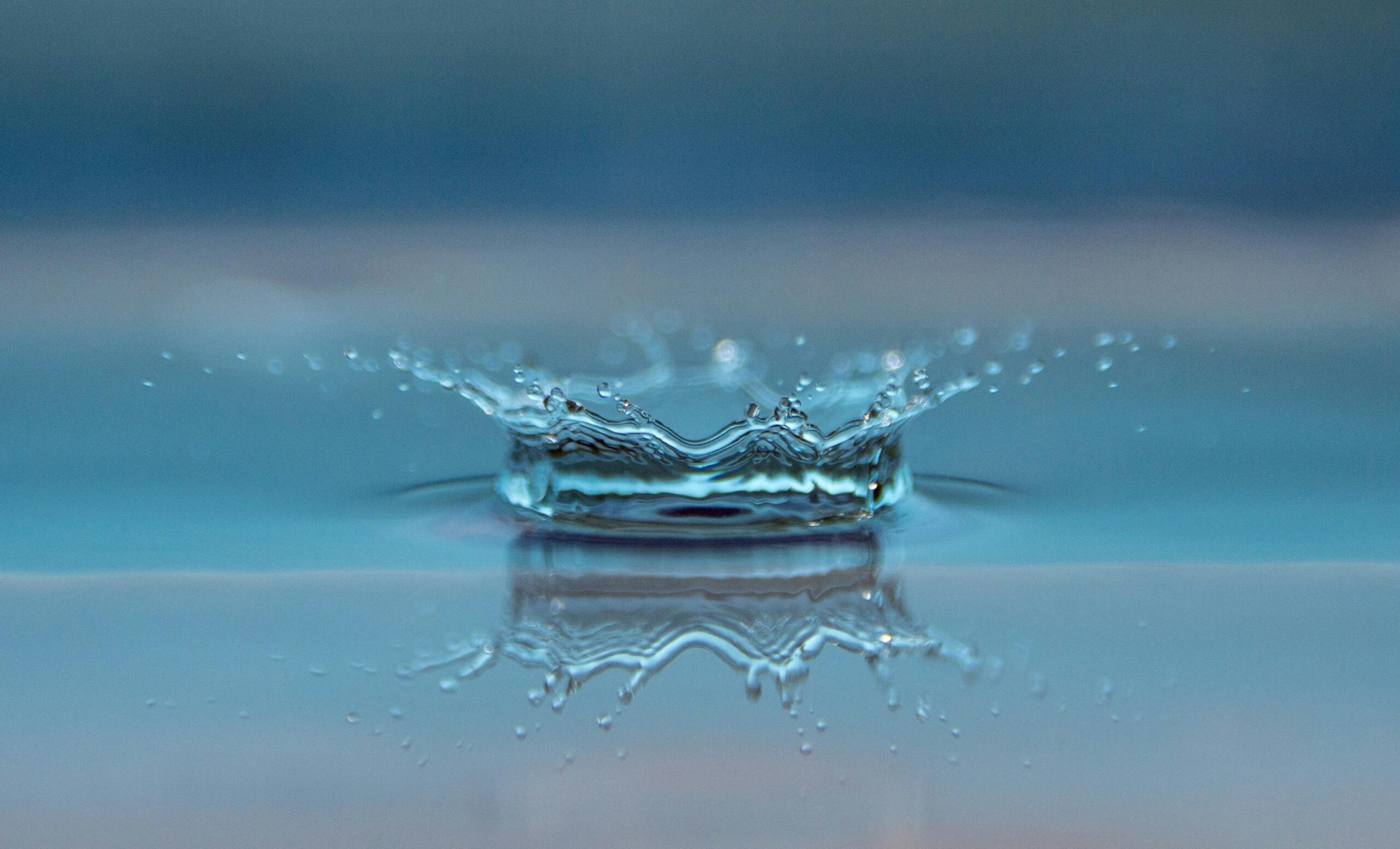 World Water Challenge 2025