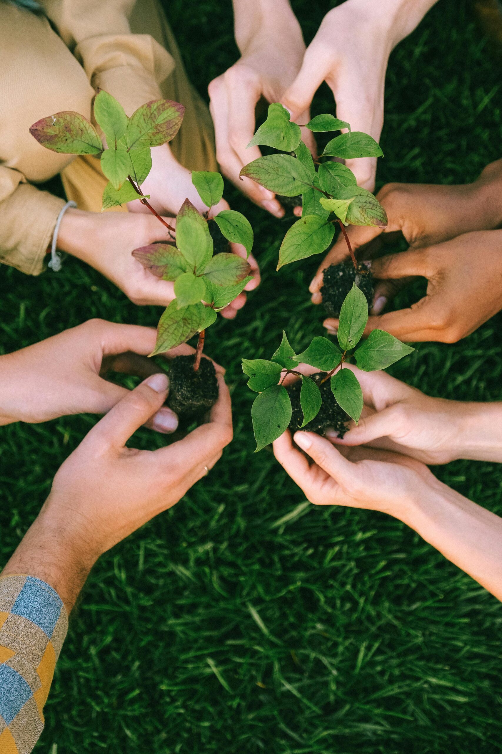 SBI Foundation LEAP Innovators for Bharat: Innovation for Social Good Program