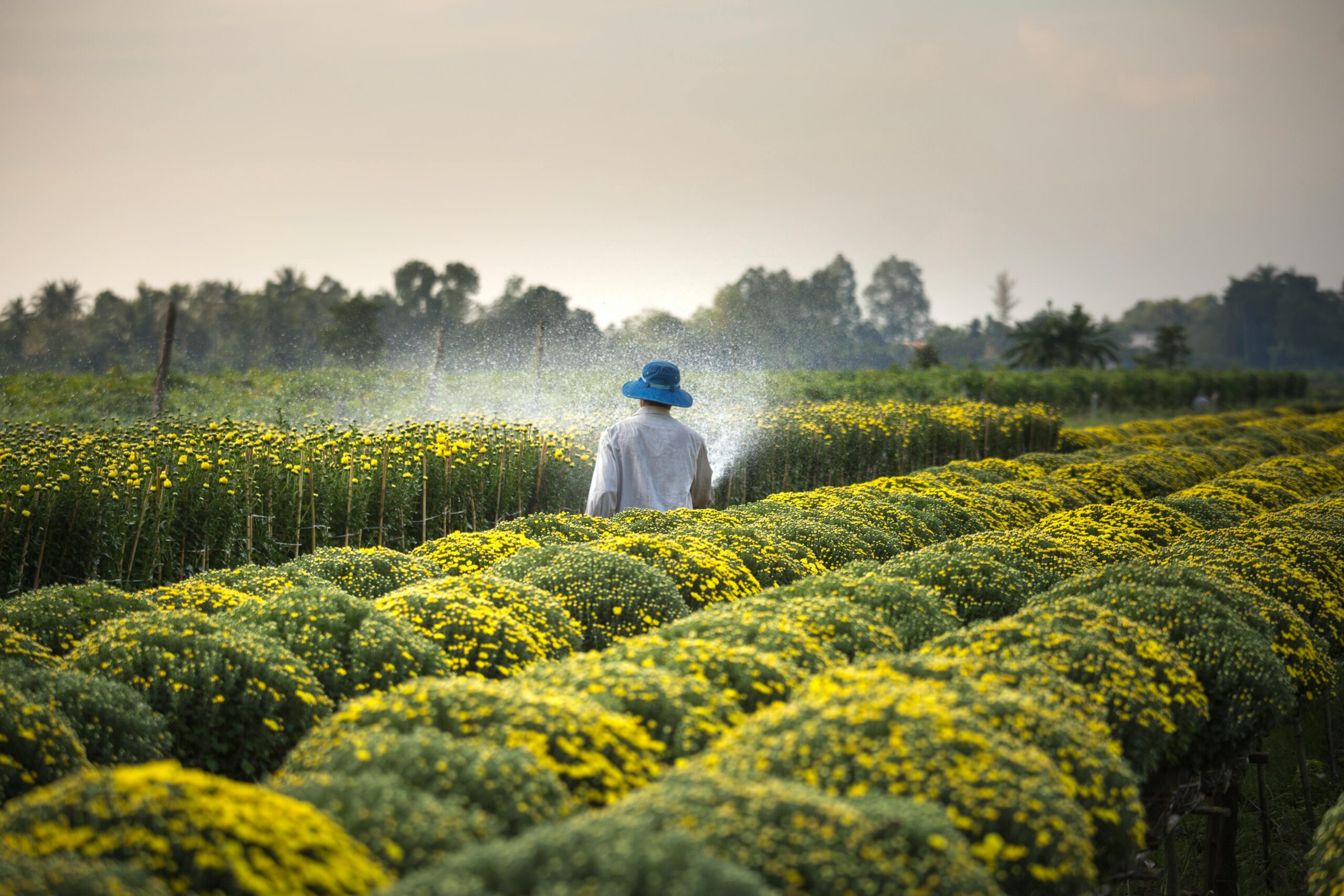 Agroecology Program Fund (GAP) Fund