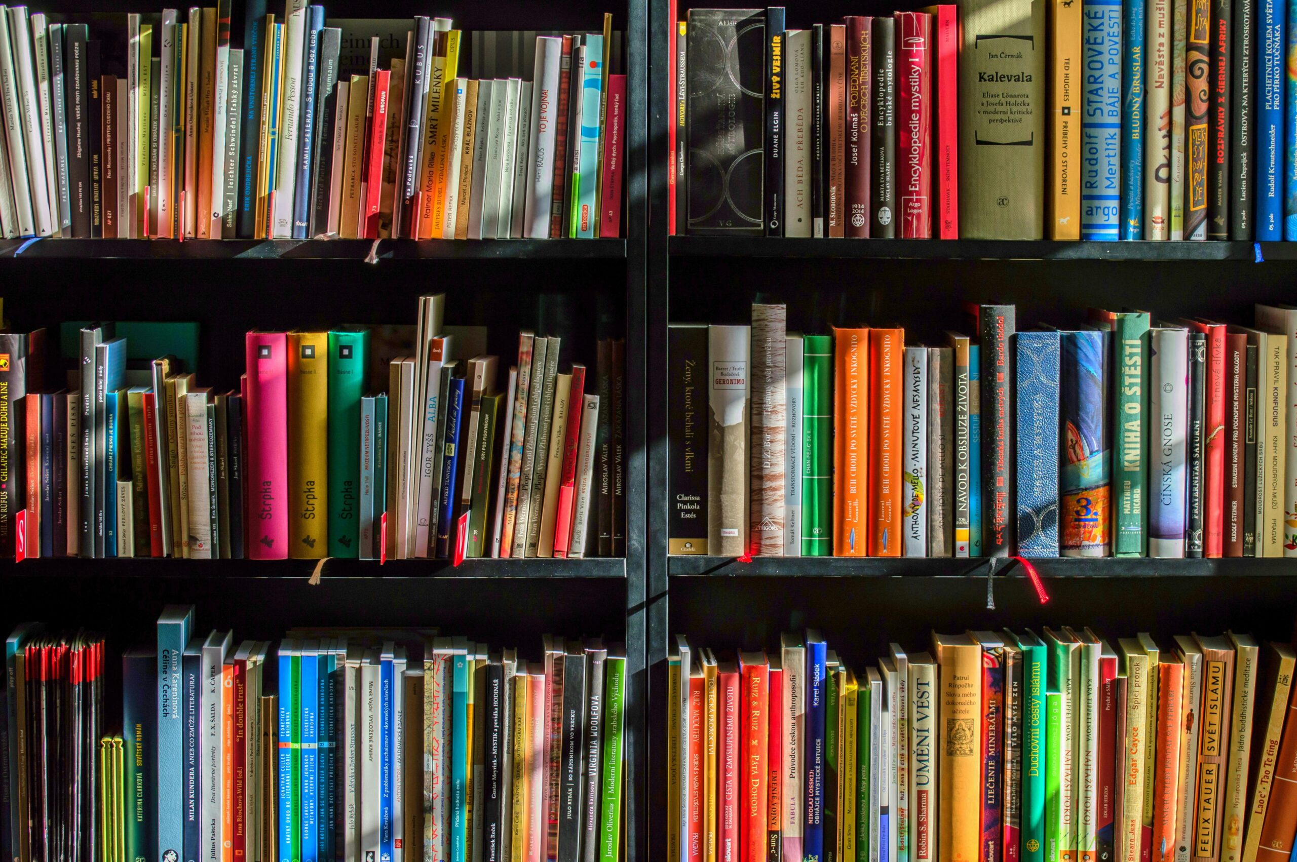 Request for Proposals: Vina Mazumdar Memorial Fund – Short-term Research Grants (India)