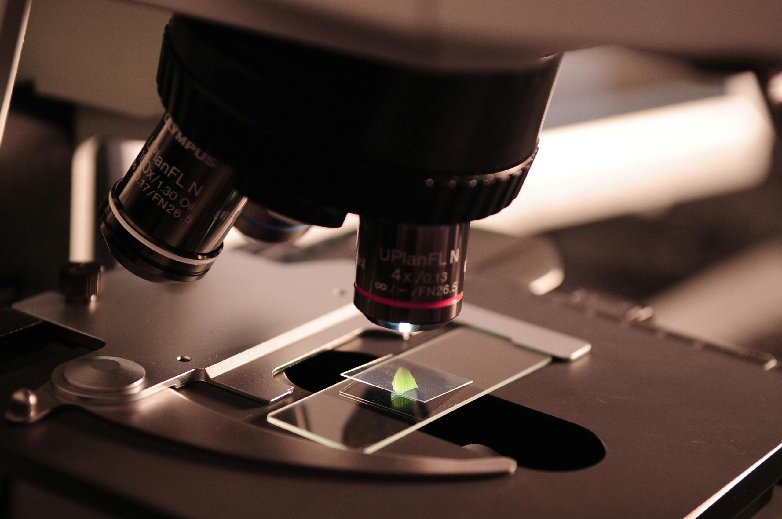 Introducing Research Environments 2025–26 Grants