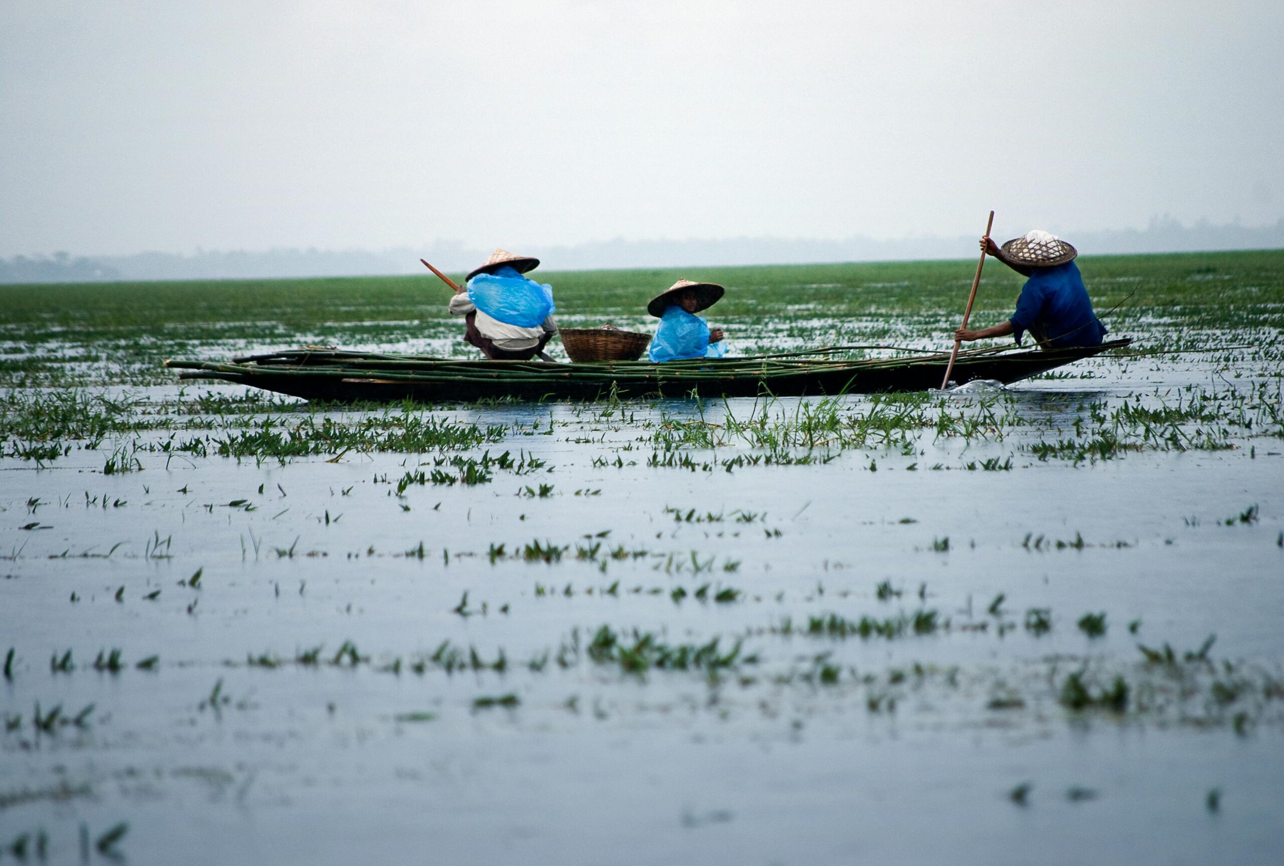 Region 3 Wetland Program Development Grants 2025