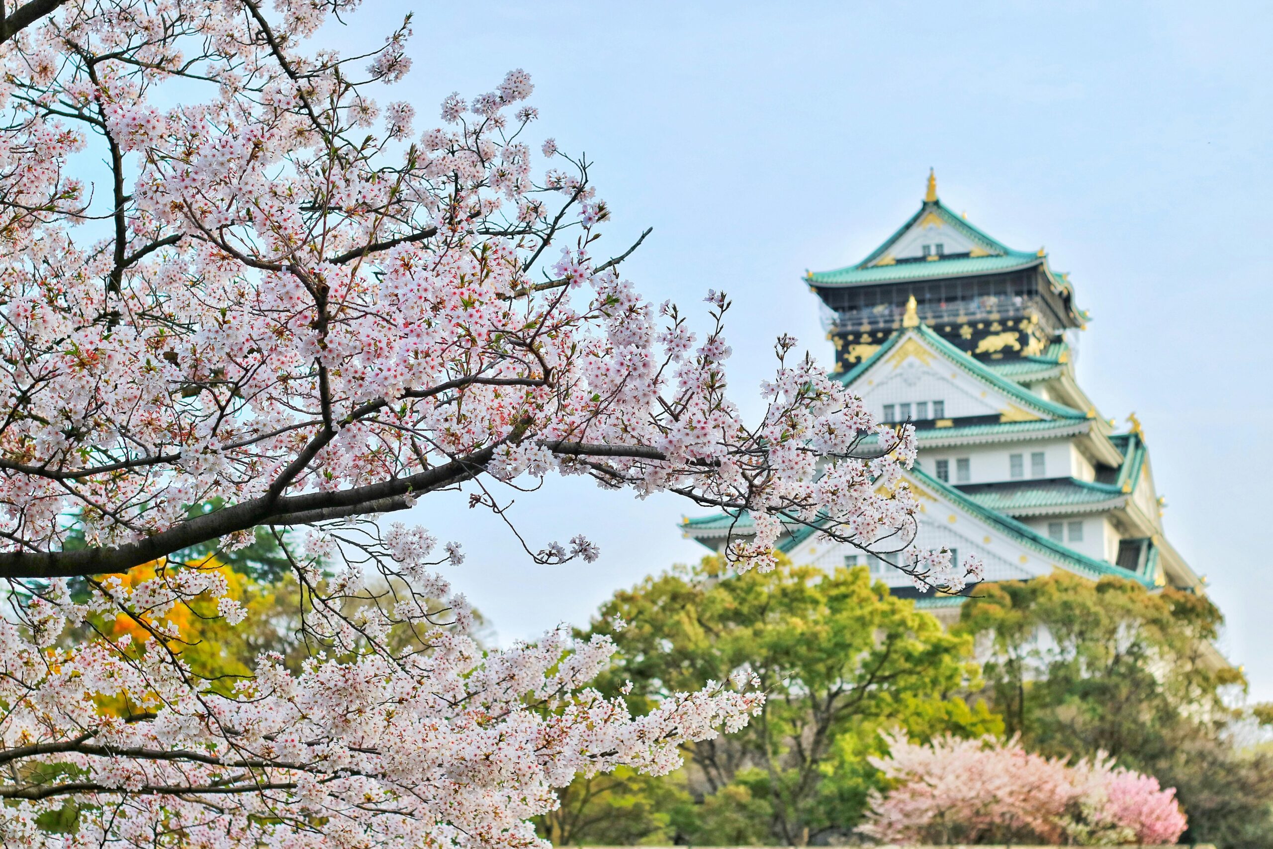 Japan-U.S. Global Partnership Program