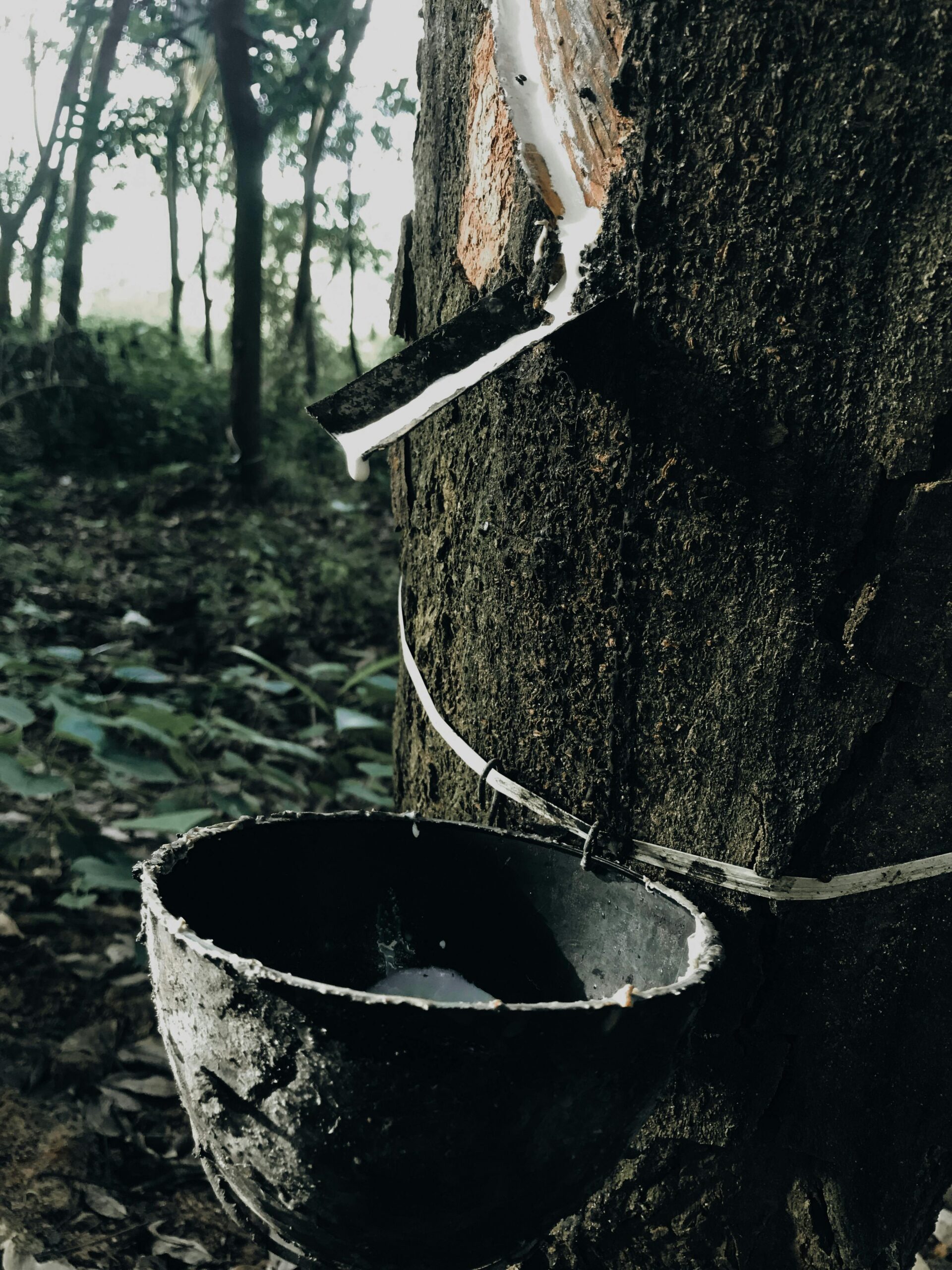 Rubber Innovation Challenge – India