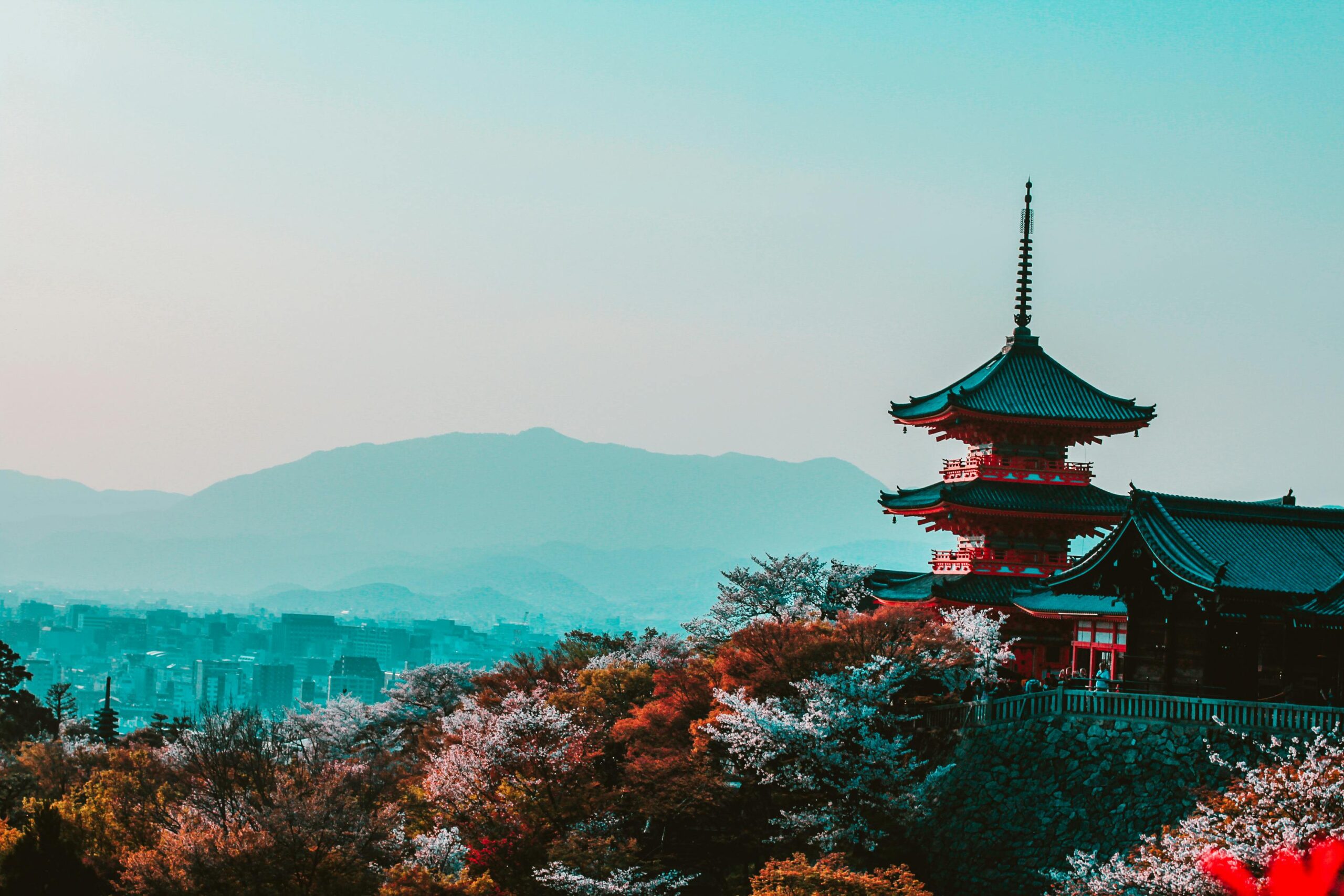 Translation & Publication Support by Japan Foundation