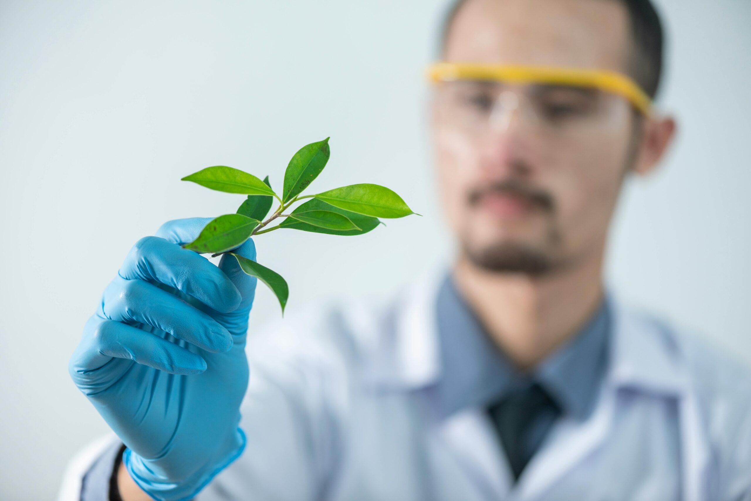 Postgraduate Research Project Grant Programme 2025 (Ireland)