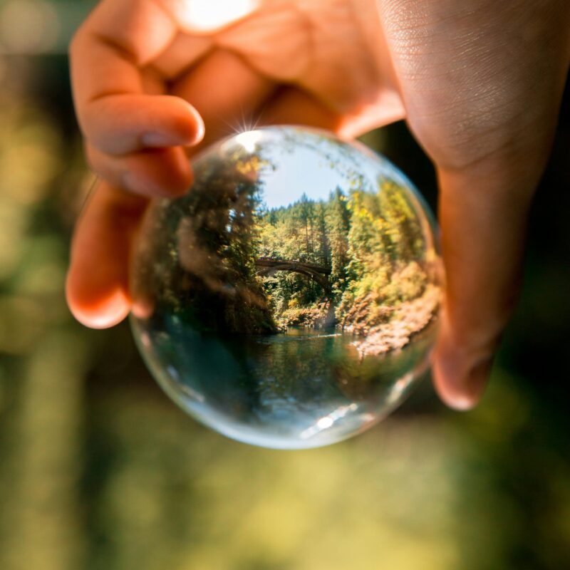 Environment