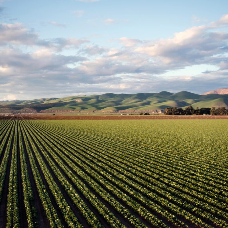 agriculture