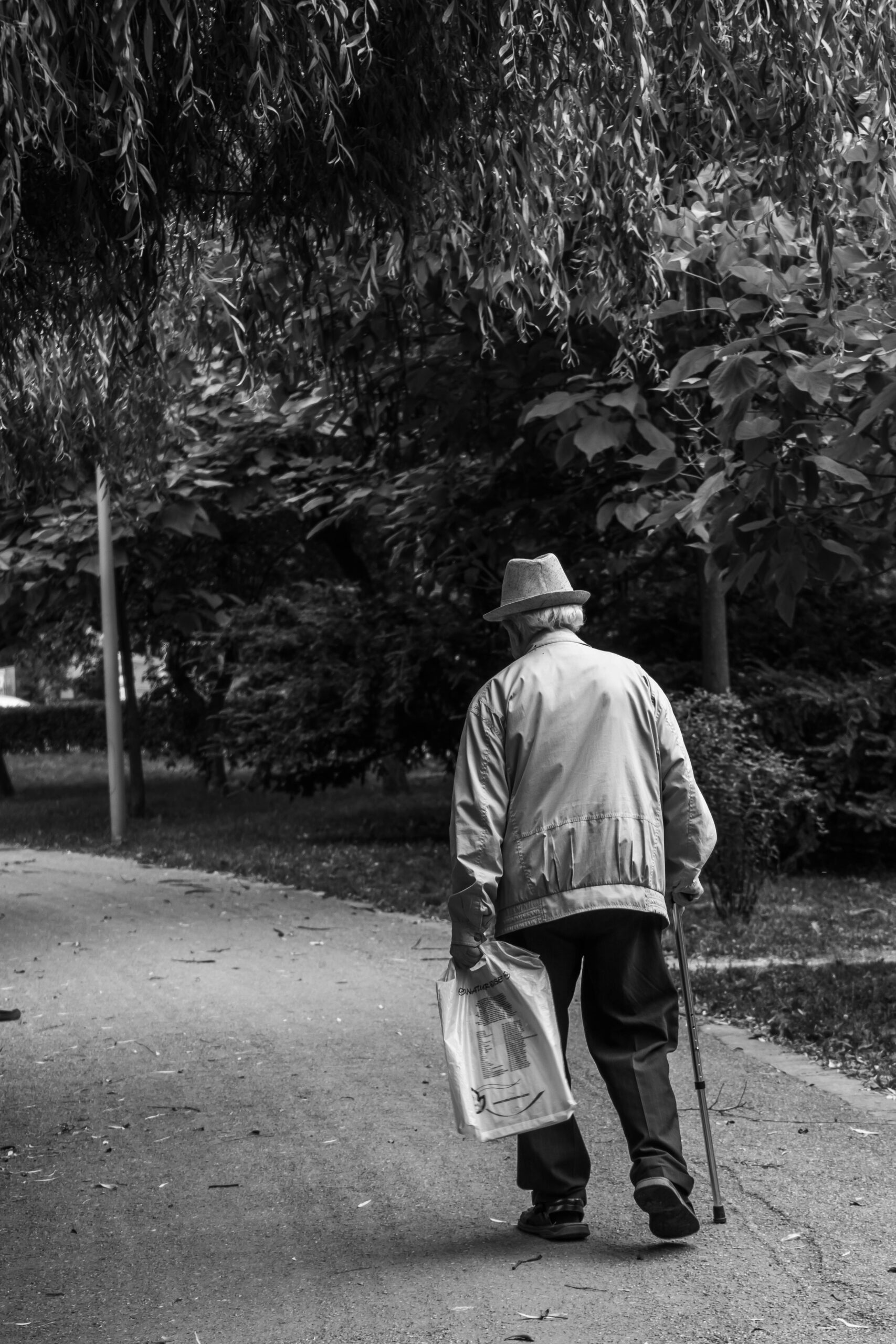 Call for Proposals: RFP-Elderly Care Grant Program (India)