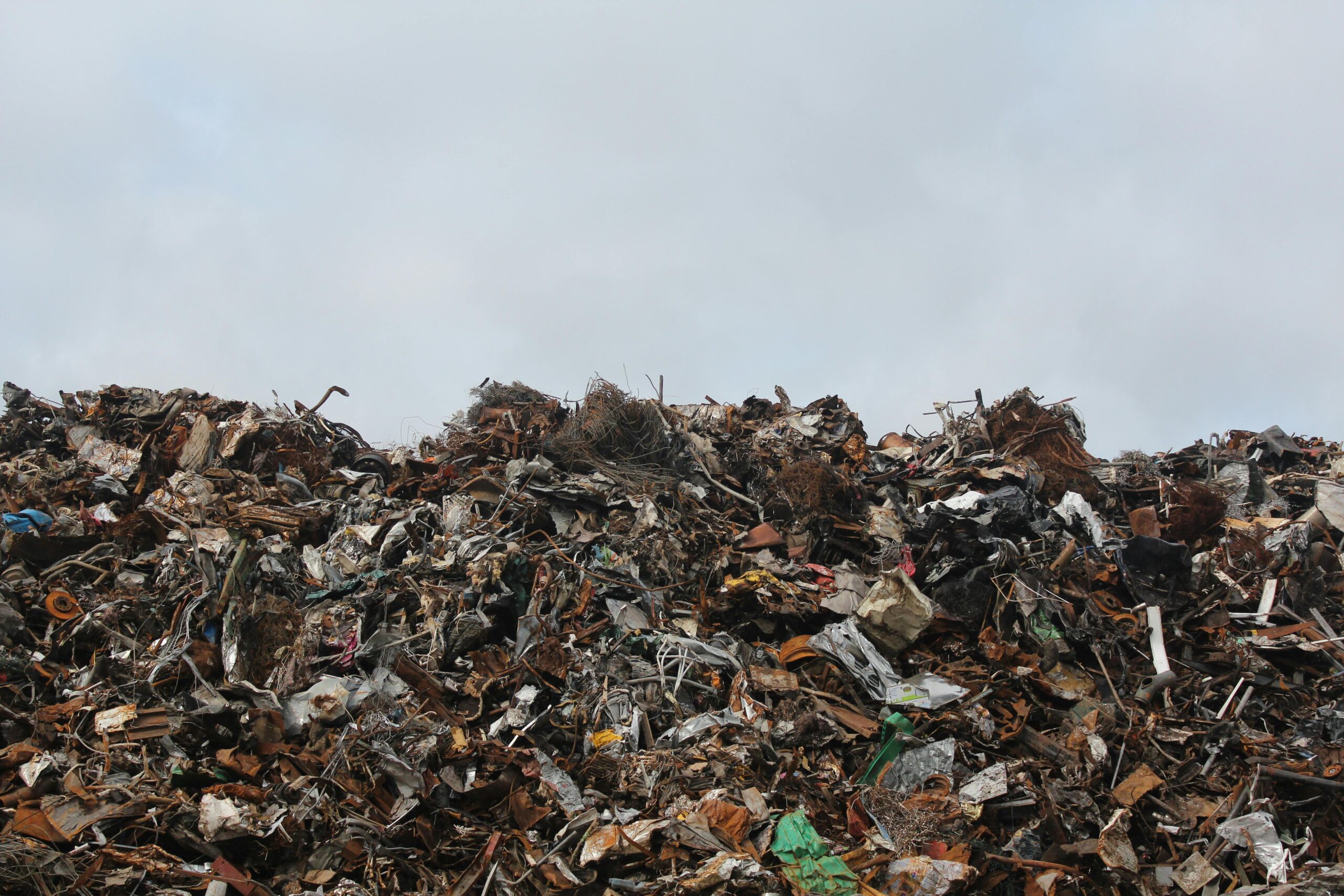 SBI Foundation Invites Proposals under SBIF CONSERW: WASTE NO MORE (India)
