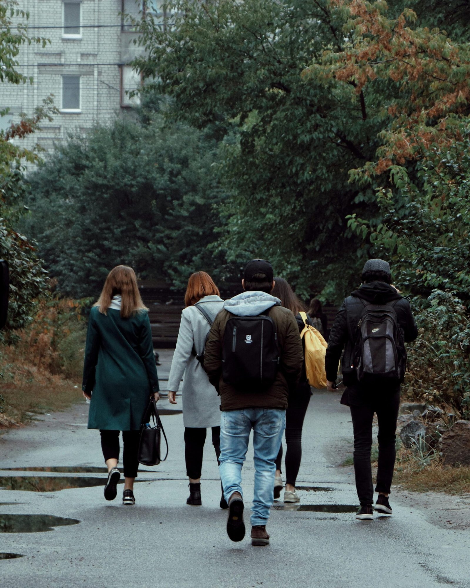 Applications Invited for FMAS Trampoline Fund 2026