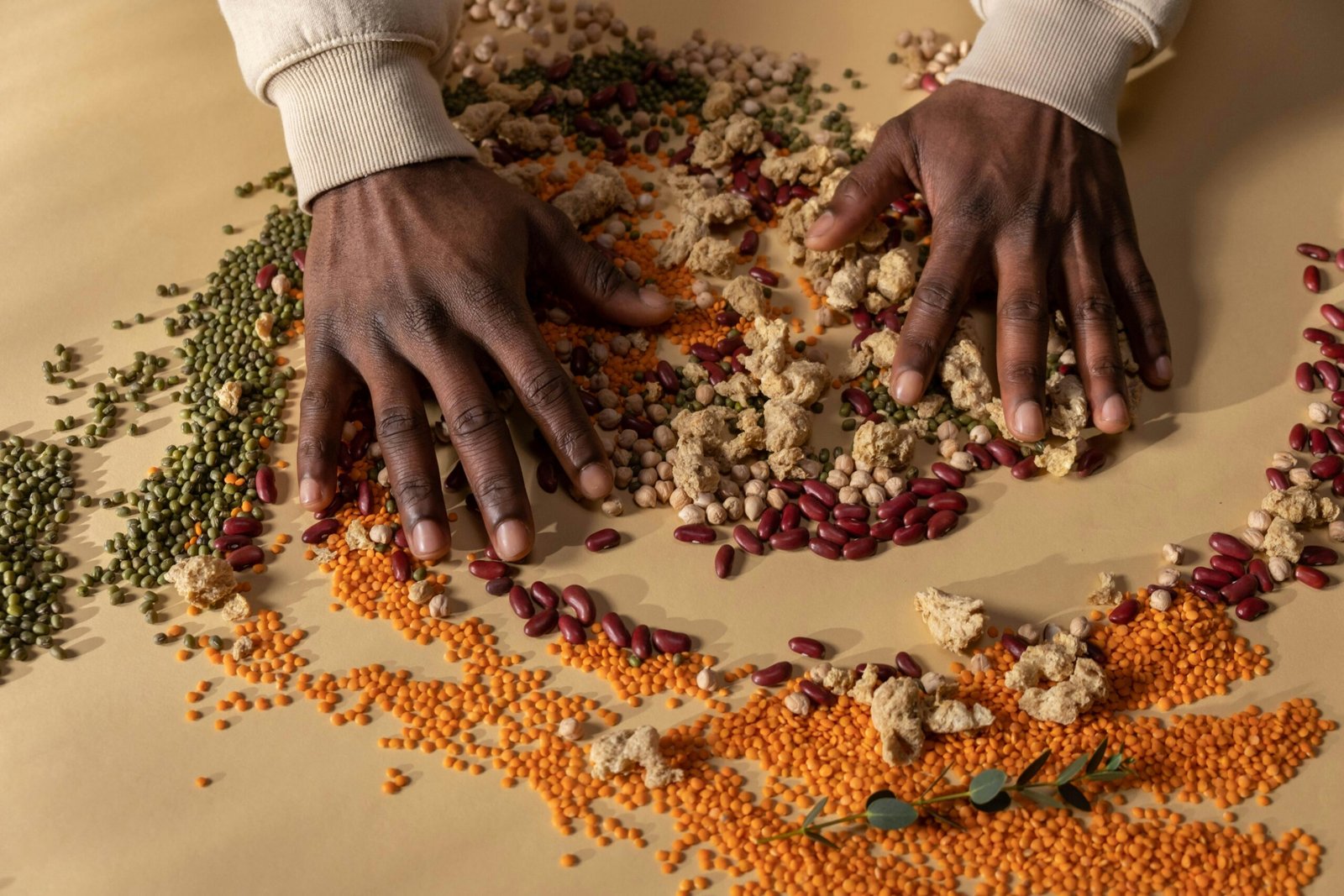 Thrive Grant for Plant-Based Food Systems 2026 | Global Sustainability Grants