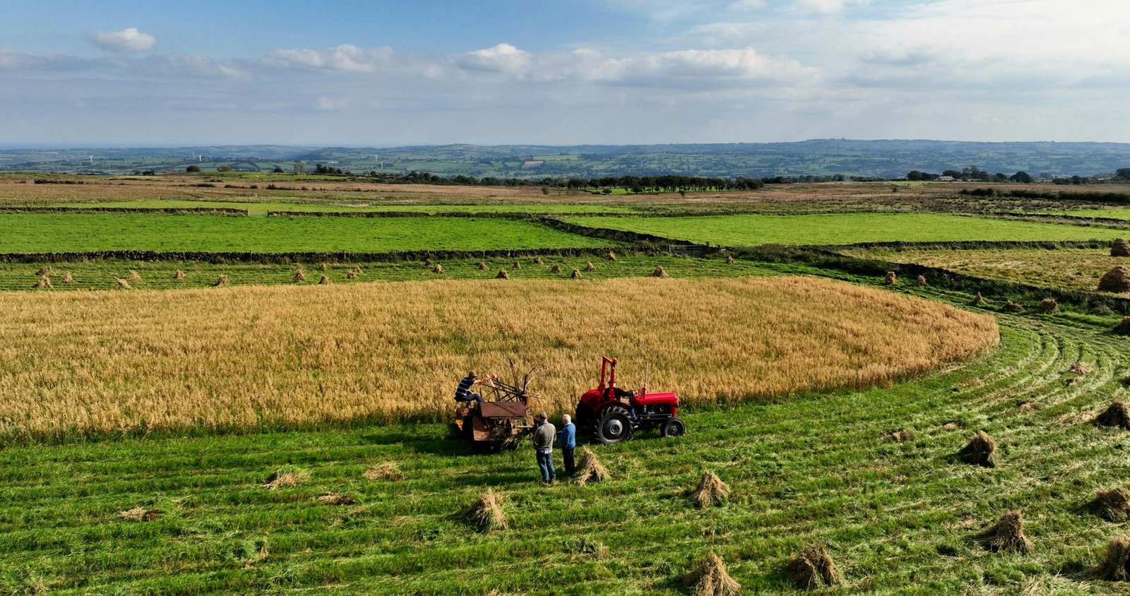 Norman Borlaug Award 2026 | $10,000 Agriculture Research Award for Young Leaders