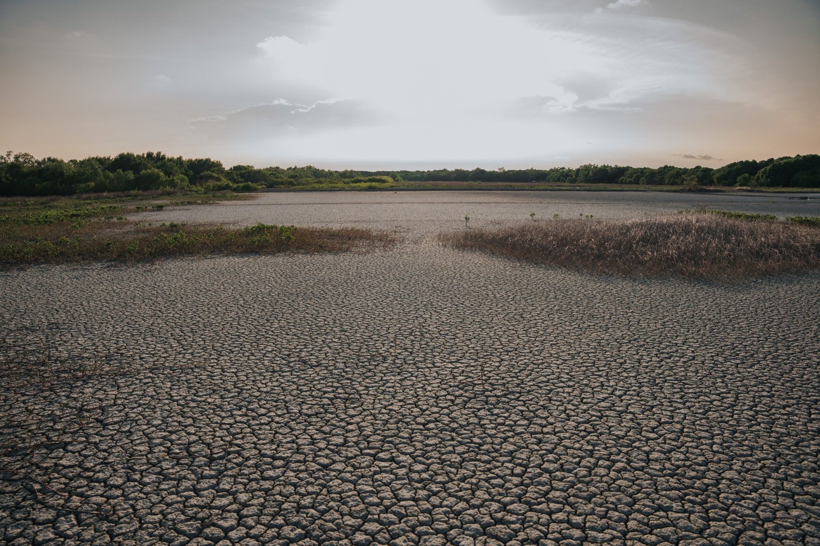 CARE Collective Fund 2026: Climate Action Grant up to €10,000