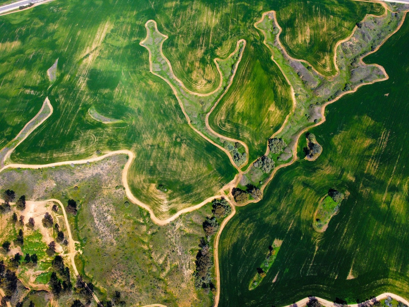 Terraformation Accelerator 2026 | Forest Restoration Grants