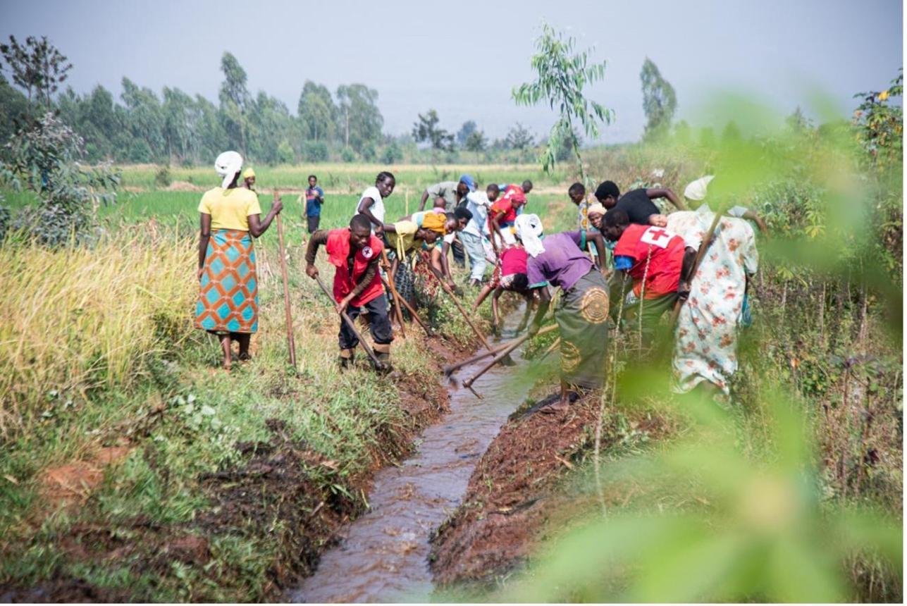 Call for Community-Based NGO for Irrigation Activities in Kirundo (Burundi)