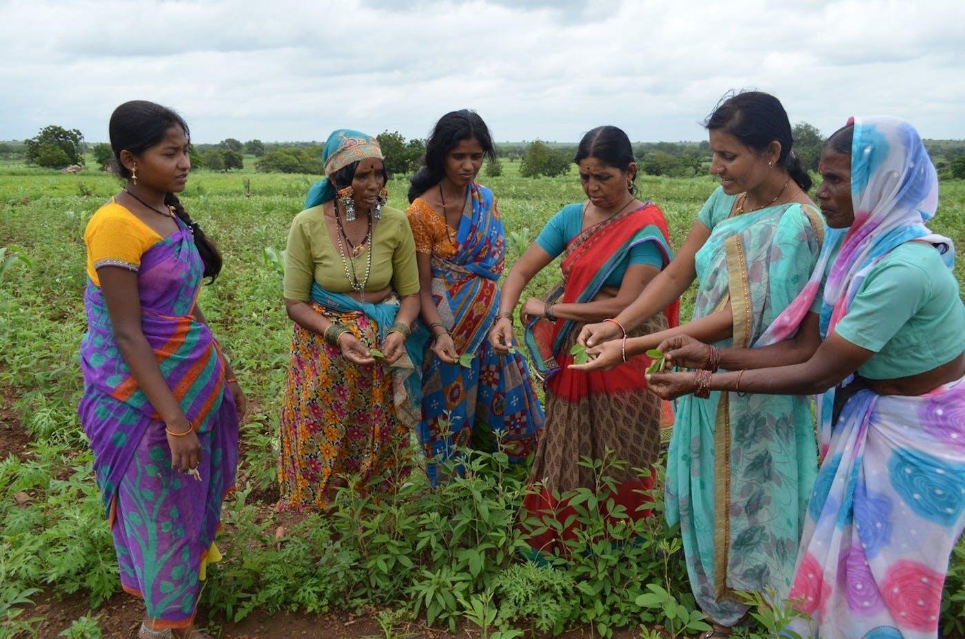 Mahila Krishi Shakti Puraskar 2026 – JSW Foundation–MSSRF National Award for Women in Agriculture