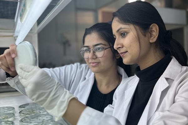 Apply for DBT BioCARe Programme 2026–27 for Women Researchers