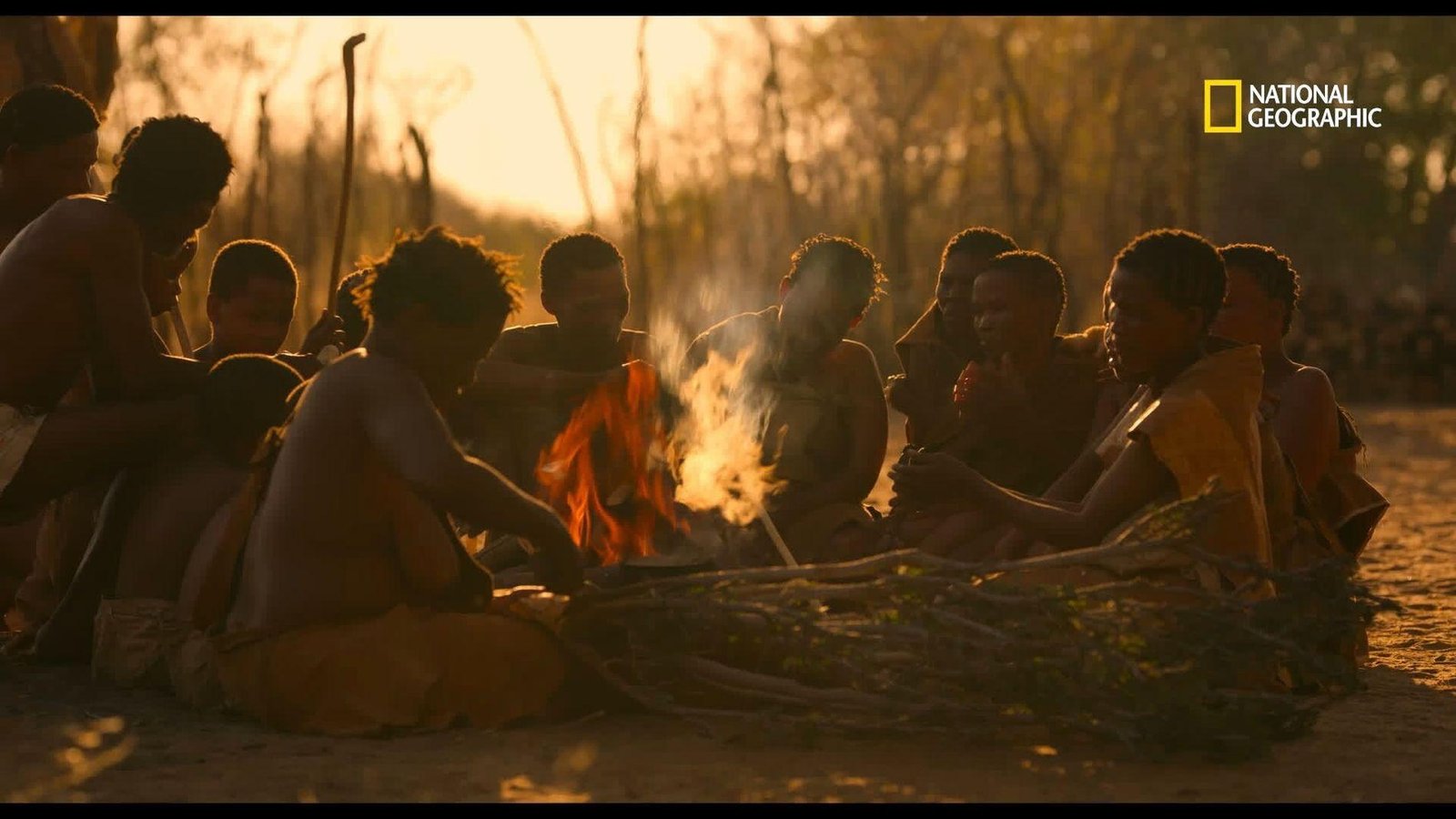 National Geographic Society The Human Thread 2026