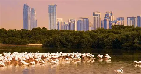 Mohamed bin Zayed Species Conservation Fund 2026