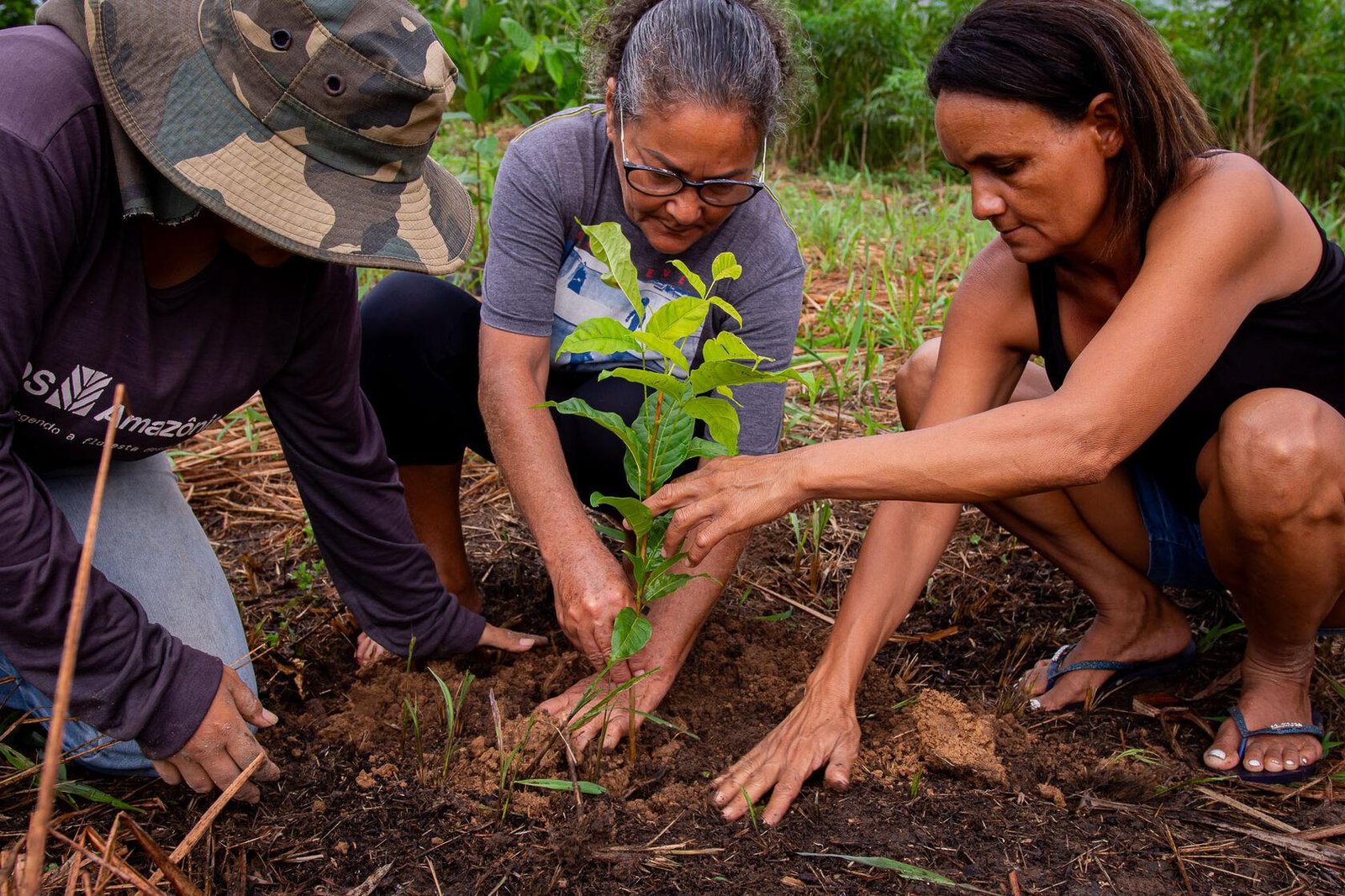 Apply for Global EbA Fund Small-Size Grants 2026 – Up to US$250,000