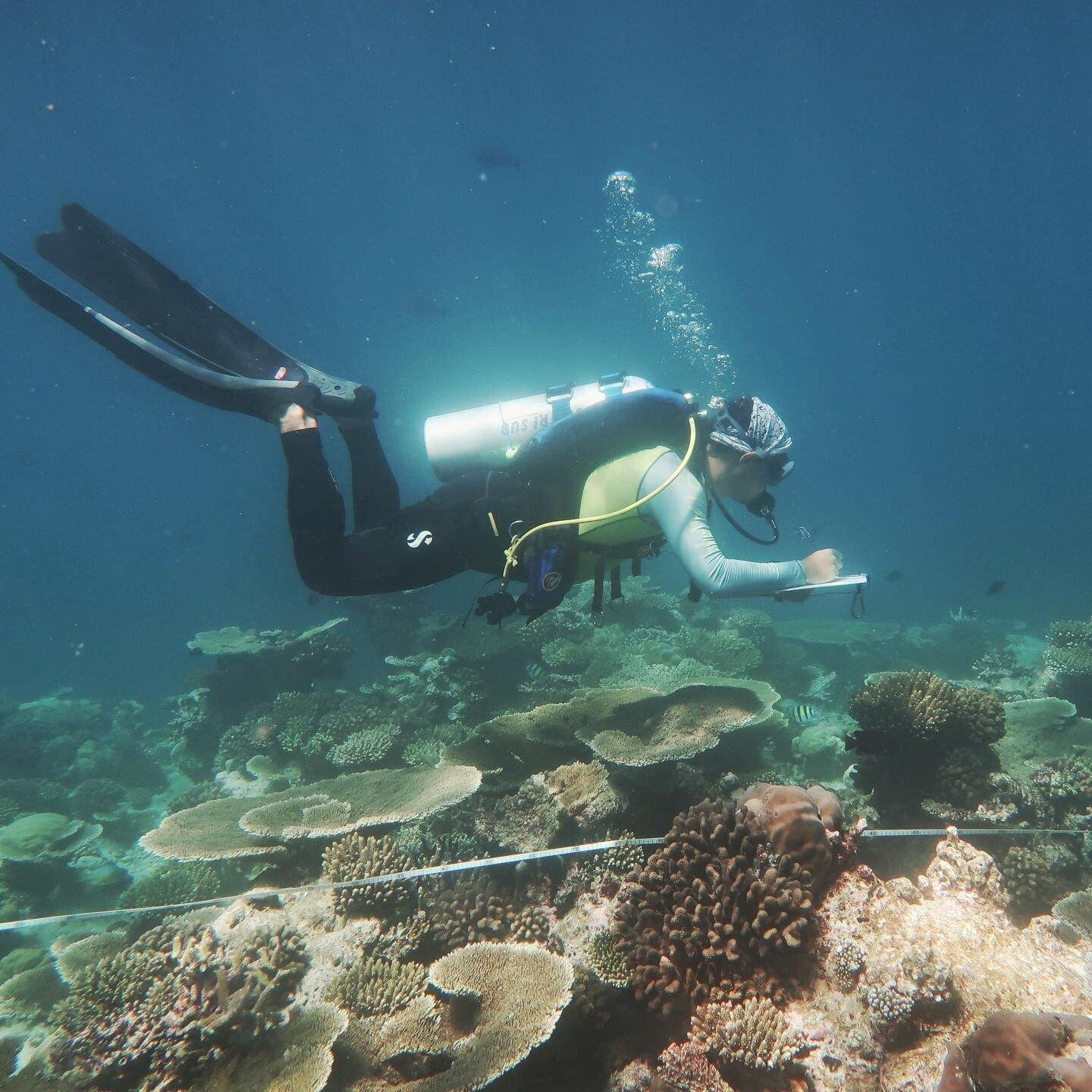 PADI Foundation Grant 2027
