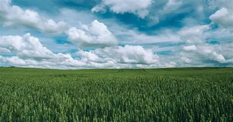 Climate Intervention Environmental Impact Fund 2026